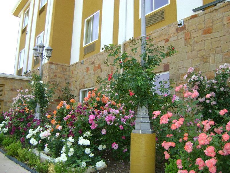 Blanco River Hotel Exteriör bild
